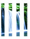 キャスケード - 滝