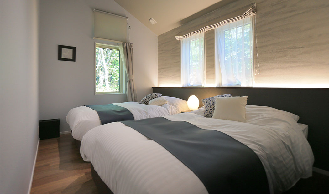 アッシュ - 火山灰